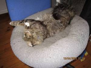 IMG_0670.thumb.JPG.6dfc8ac9cf2ff26ab9441bc0b67f1fa4.JPG