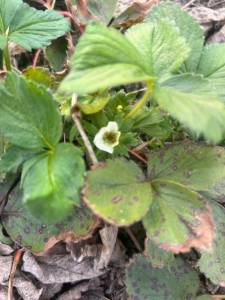 IMG_0852.jpeg