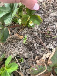 IMG_0853.jpeg