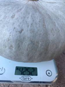 IMG_1596.jpeg