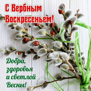 IMG_1690.png