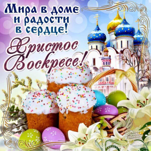 IMG_1735.png