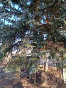 IMG_20250320_123213.jpg