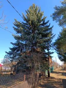 IMG_20250320_123319.jpg