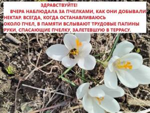 IMG_20250331_145536.thumb.jpg.61f34833357d3d05d2a699673835c919.jpg