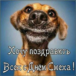 IMG_20250401_062545_301.thumb.jpg.e22a0b0f189b8d8c7b4a041979000d16.jpg
