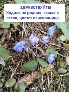 IMG_20250401_134930.thumb.jpg.551eb86b73b6215e8af413bbf5720d83.jpg