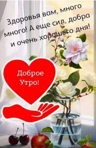 IMG_20250404_070514_604.thumb.jpg.11ee79bb7d3c90276fabcb73669aab26.jpg