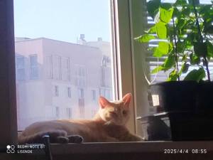 IMG_20250404_085504.thumb.jpg.bbf18012494bbcf25504110128f41515.jpg