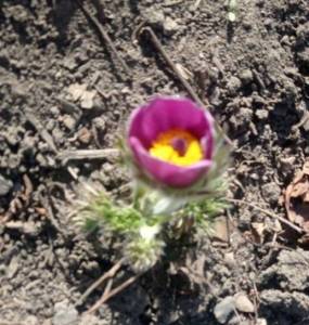 IMG_20250404_153740.jpg