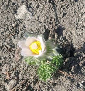 IMG_20250404_153825.jpg