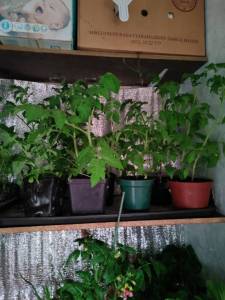 IMG_20250404_220959.jpg