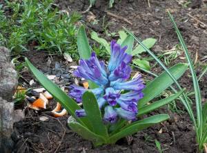 IMG_20250405_114239.jpg