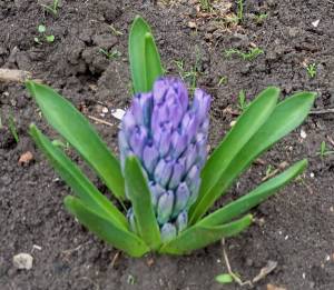 IMG_20250405_114318.jpg