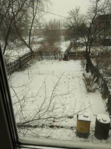 IMG_20250406_081234.thumb.jpg.736a6acf67b36e46bd737514509ffb80.jpg