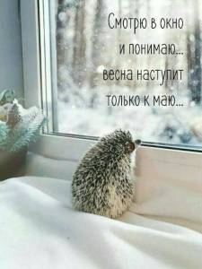 IMG_20250406_100334_844.jpg