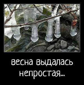 IMG_20250406_100357_337.jpg
