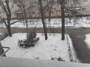 IMG_20250406_102346.thumb.jpg.89ea253504d4cda7ec26a9de0ed754da.jpg