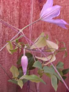 IMG_20250409_173140.jpg