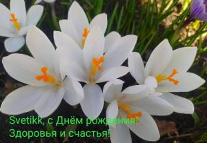 IMG_20250410_074125.thumb.jpg.1f5d9173e03537e46212d29010771ee5.jpg