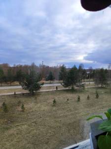 IMG_20250410_182932.jpg