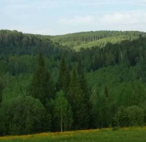 IMG_20250413_030014.jpg