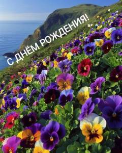 IMG_20250420_100628.jpg