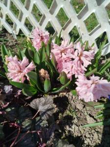 IMG_20250421_115631.jpg