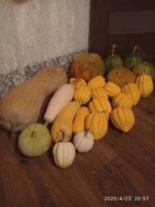 IMG_20250423_205736.thumb.jpg.e954eff7054d8b7a9951f30bf8c50fd3.jpg