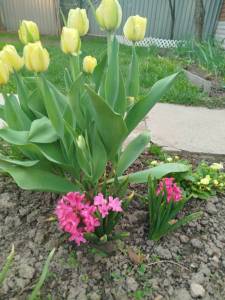 IMG_20250424_180640.jpg
