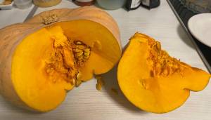 IMG_3246.jpeg