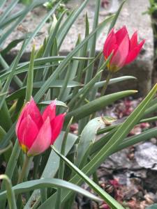 IMG_3434.jpeg