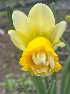 IMG_3435.jpeg