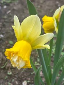 IMG_3436.jpeg