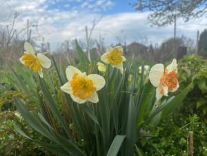 IMG_3438.jpeg