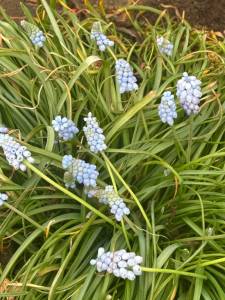 IMG_3448.jpeg