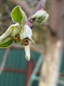 IMG_3658.jpeg