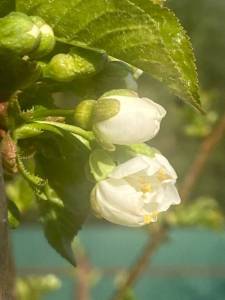 IMG_3661.jpeg
