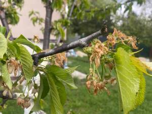 IMG_3729.jpeg
