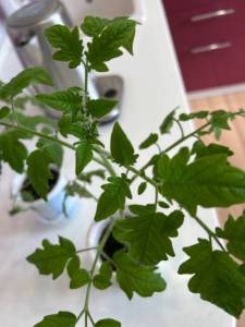 IMG_4422.jpeg
