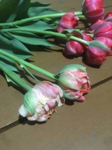 IMG_5602.JPG