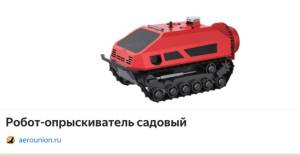 IMG_6560.jpeg