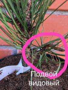 IMG_7680.jpeg