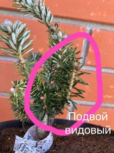 IMG_7681.jpeg