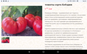 Screenshot_20250331-163123.thumb.png.6b0a233144576579c3e9145e1e866104.png