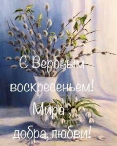 a9eebca139cd05f78bcc7ccc69e87535.jpg