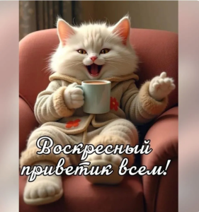 ac8e18d7-4d21-4199-9d2a-73c7c07283b0.png