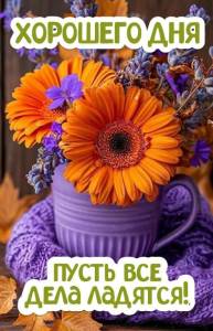 b6833ea3c22965d1a08a74b768cba919.jpg