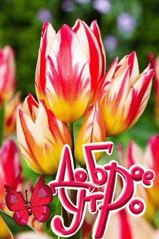 c123adea818a3c1a7b612182f513ef5c.gif