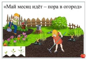 c71d08a8-624d-5e16-90a0-cb8cad795309.jpg